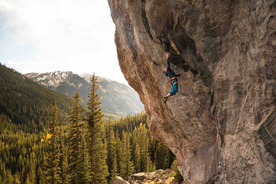 Elements of a Sport Climbing Shoe