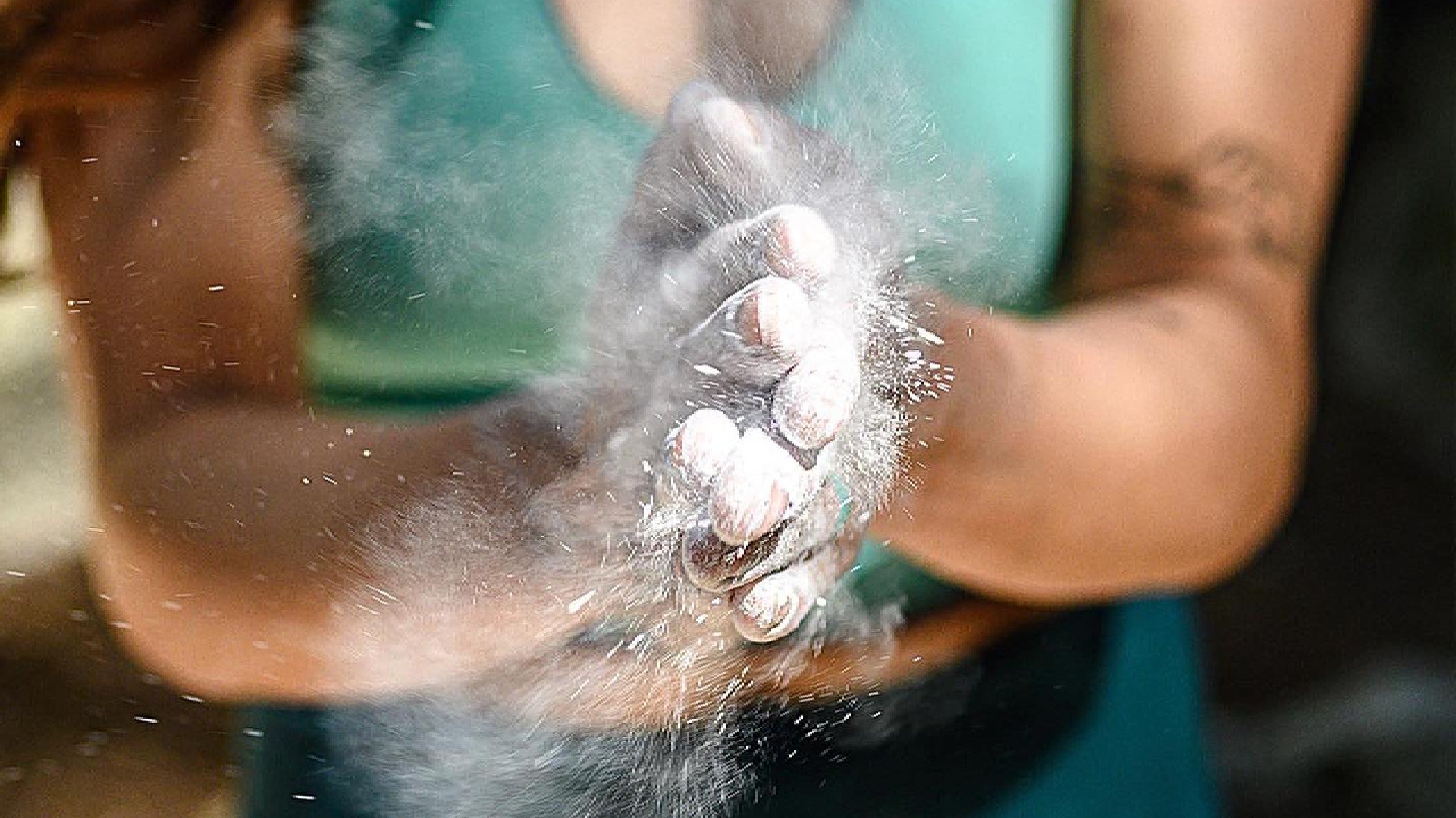 Loose Chalk vs Liquid Chalk for Climbing | Pros, Cons & Best Uses