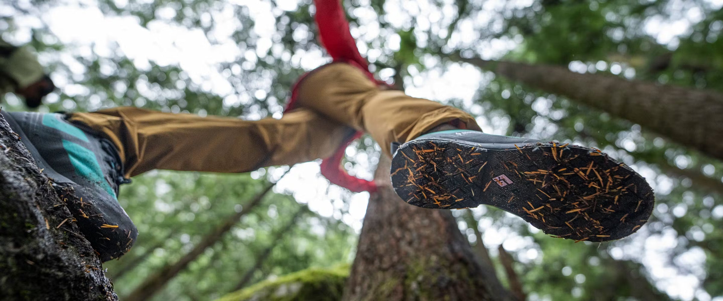 Footwear