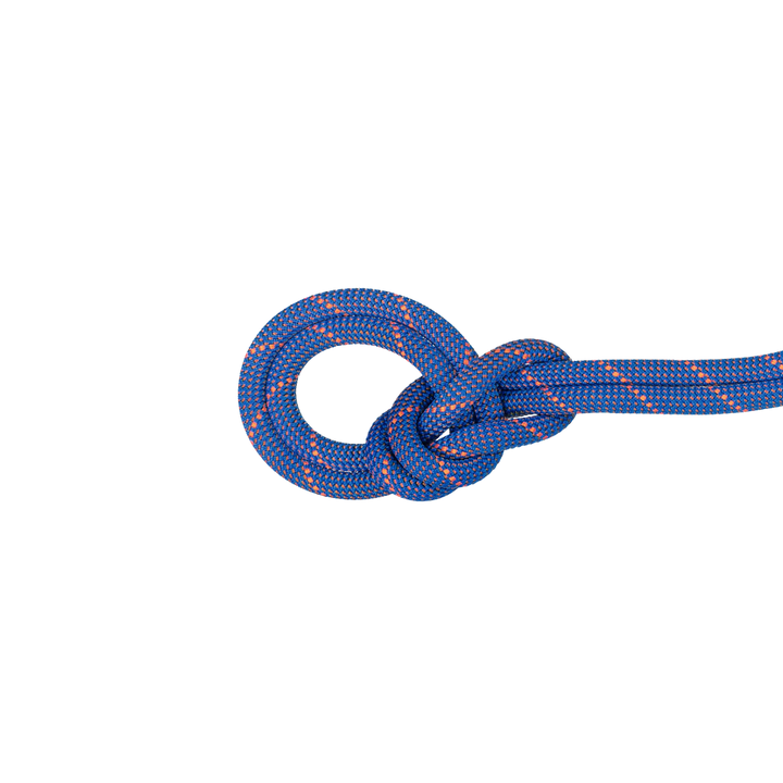 9.0 Crag Sender Dry Standard Rope (Past Season)
