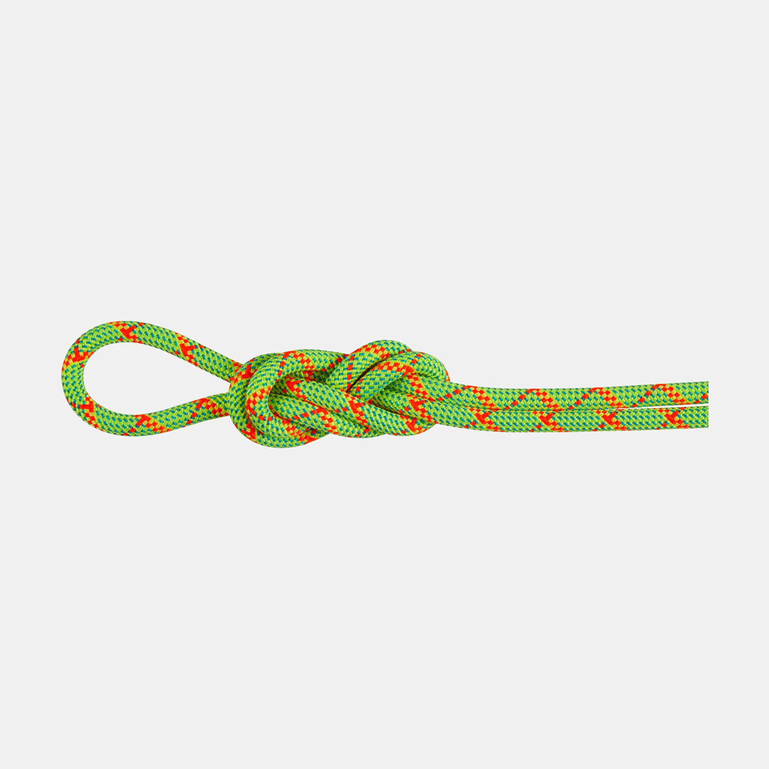 8.0 Alpine Core Protect Dry Rope