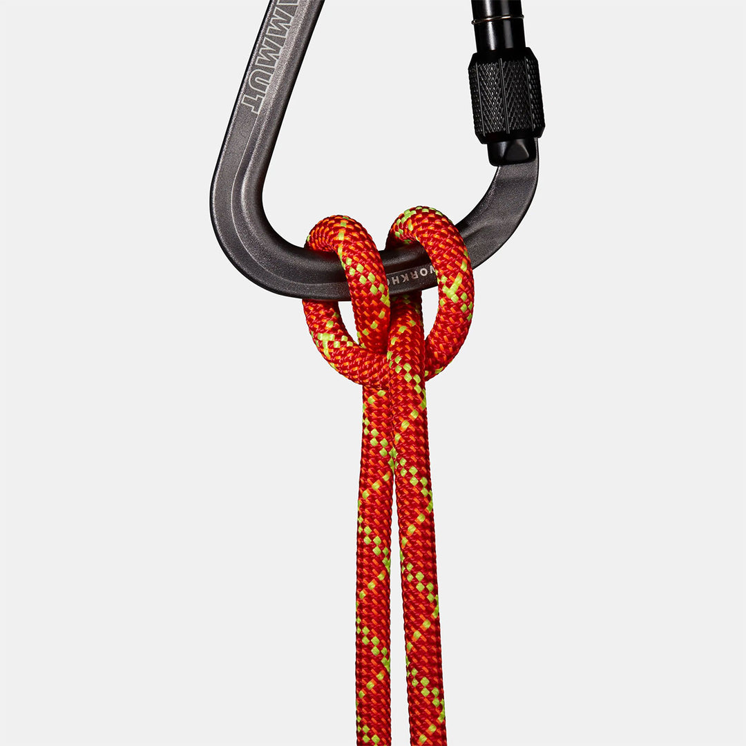 8.0 Alpine Core Protect Dry Rope