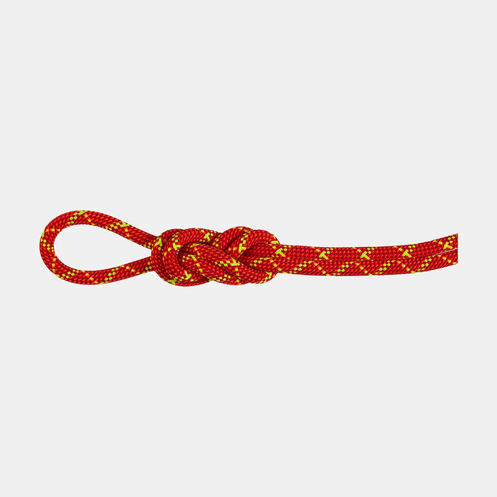 8.0 Alpine Core Protect Dry Rope