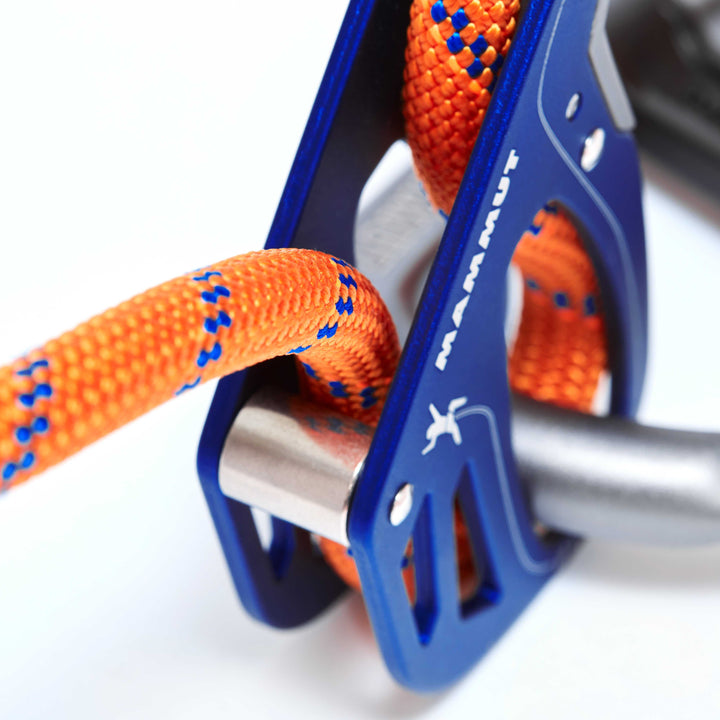 #color_dark-ultramarine