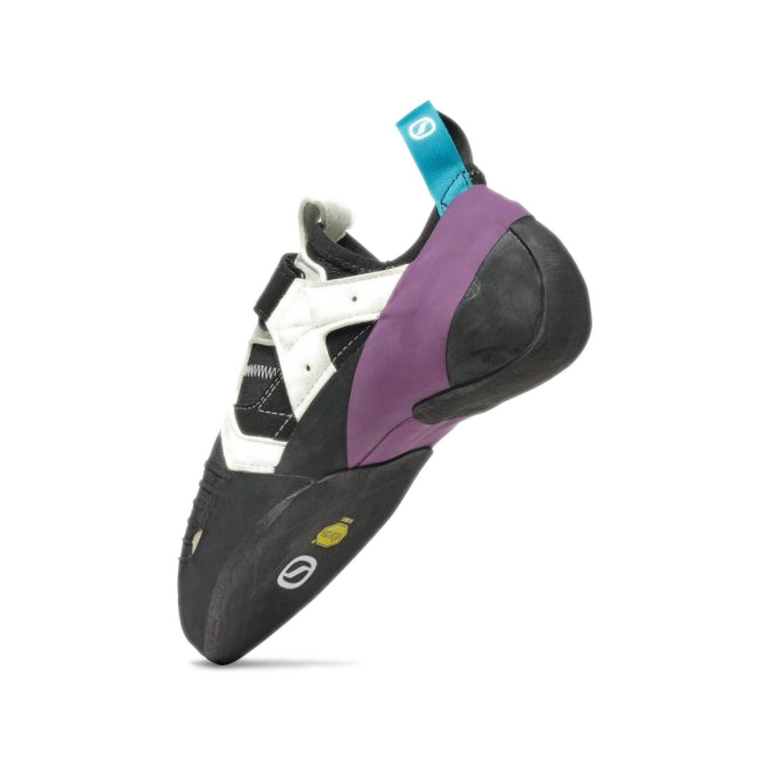 #color_black-violet