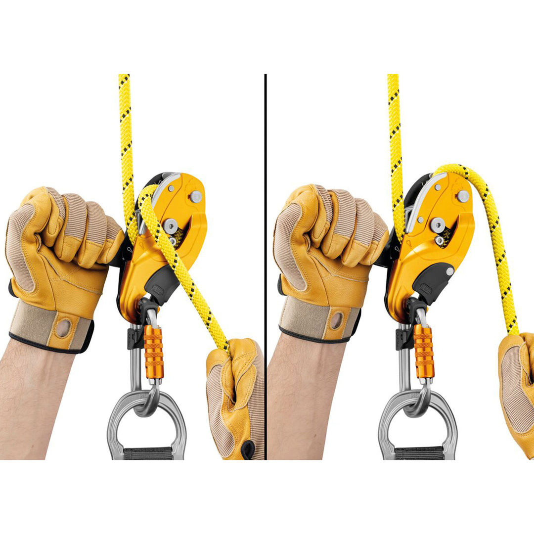 Rig Descender