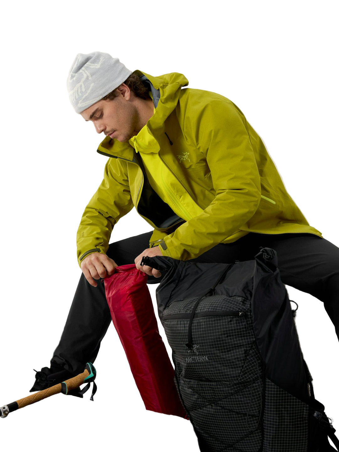 #color_olive-moss-euphoria