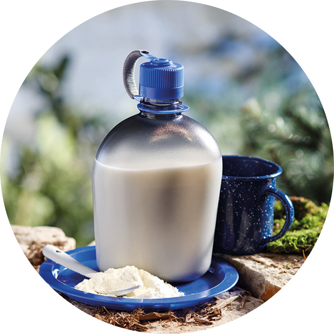 Whole Milk Powder (100g)