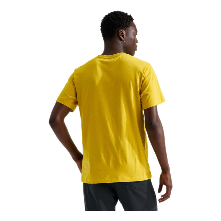 #color_pigment-yellow