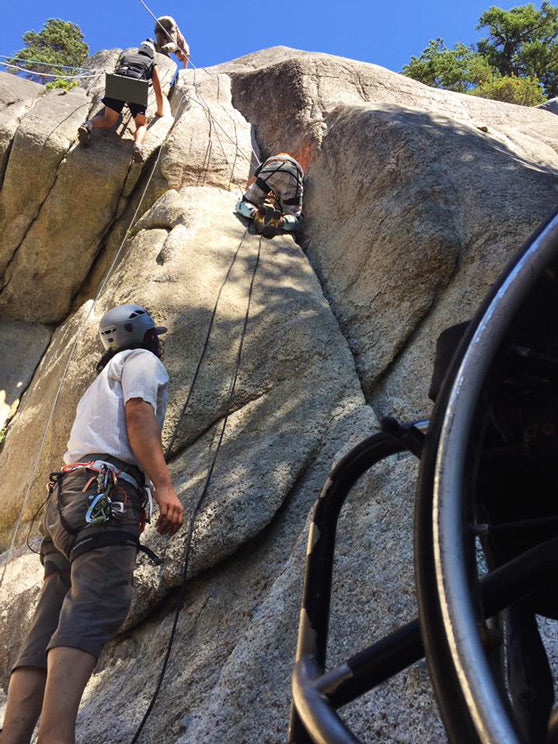 Climbing is Therapy Mountain Sticker Taupe