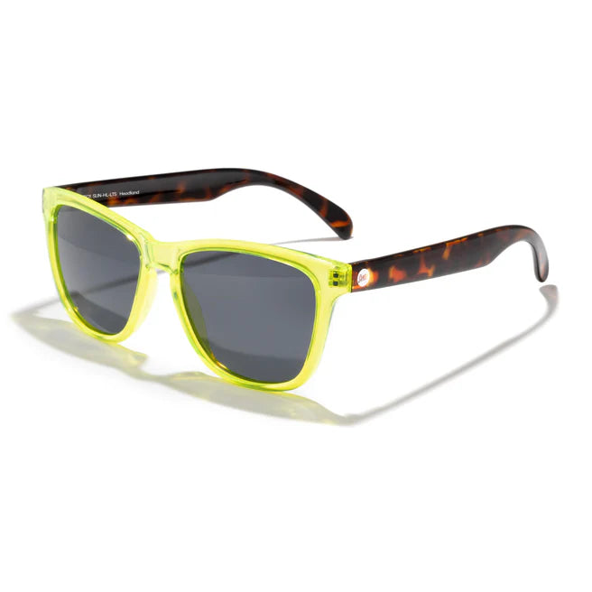 #color_lime-tortoise-slate