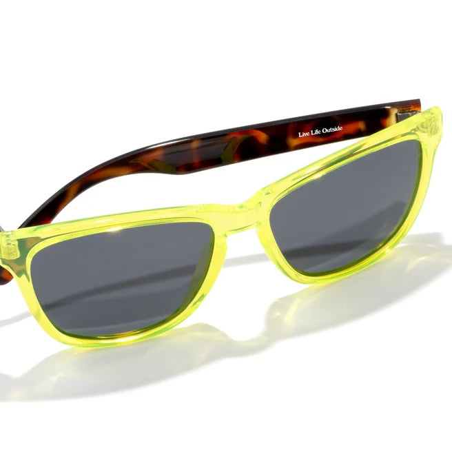 #color_lime-tortoise-slate