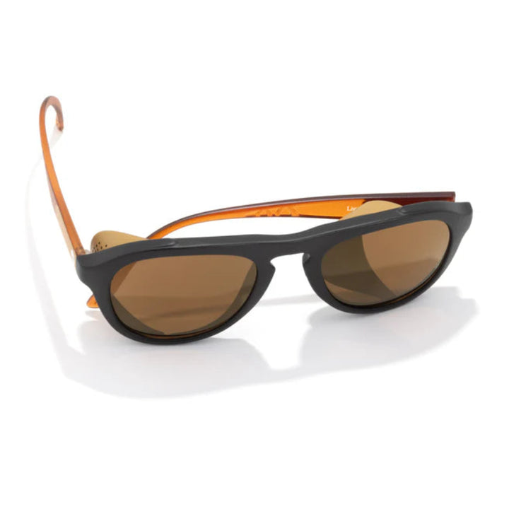 #color_black-bronze