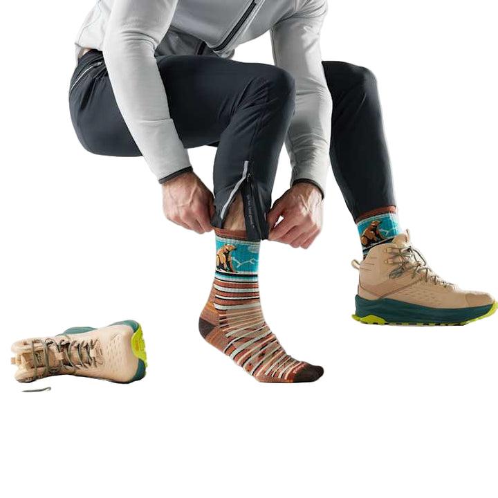 Hike Targeted Cushion Bear Stripe Mid Crew Socks