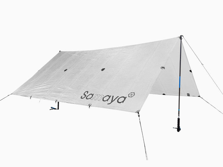 Tarp_001