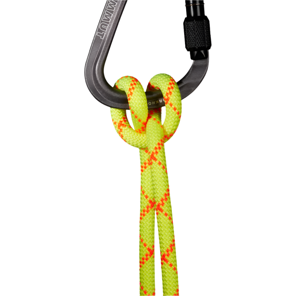 9.5 Alpine Core Protect Dry Rope