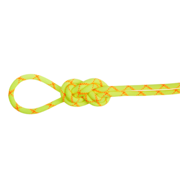 9.5 Alpine Core Protect Dry Rope