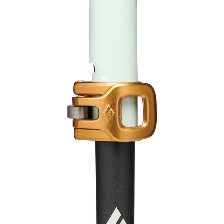 Traverse Pro Ski Poles