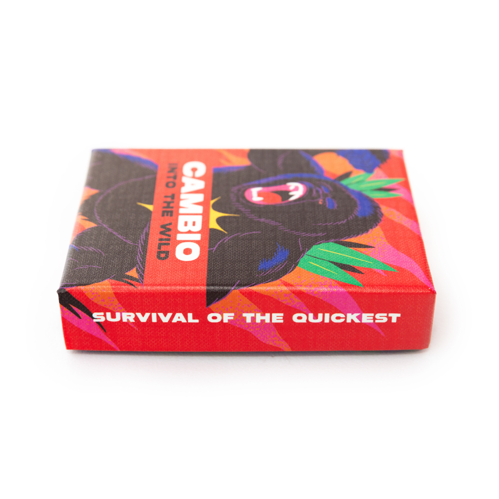 Cambio: Into The Wild