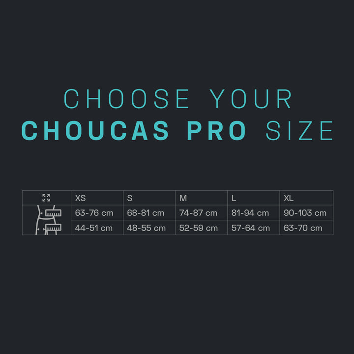 Choucas Pro Harness