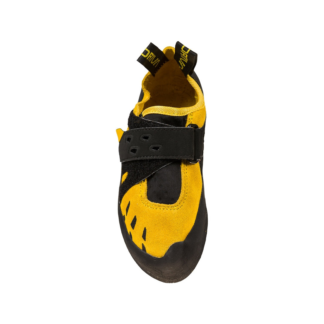 #color_yellow-black