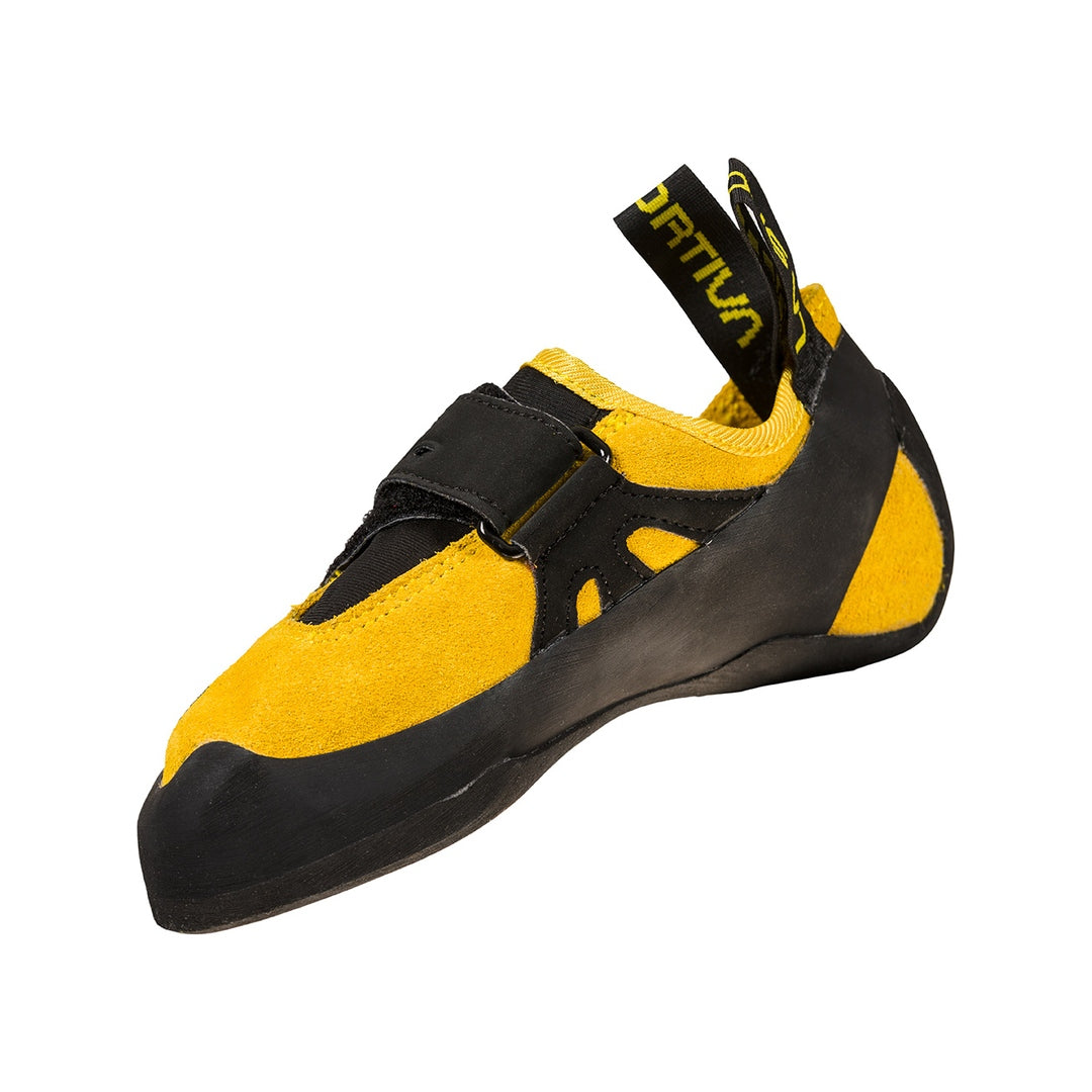 #color_yellow-black