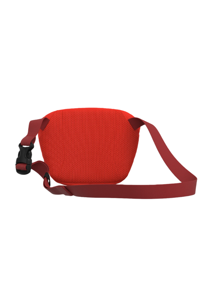 #color_dynasty-carmine