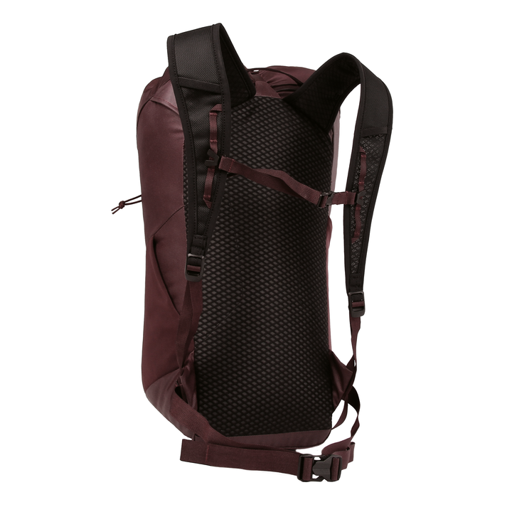 Dragonfly 18L Pack